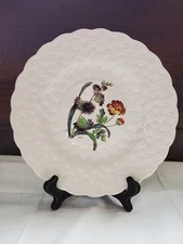 Copeland Spode FERNLEIGH Flower Plates #6 Scilla Sibirica 20s Vintage Botanical