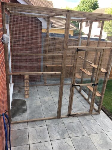 Catio / Cat Lean to 8ft x 8ft x 8ft tall with ladders and shelves secure run - Picture 7 of 11