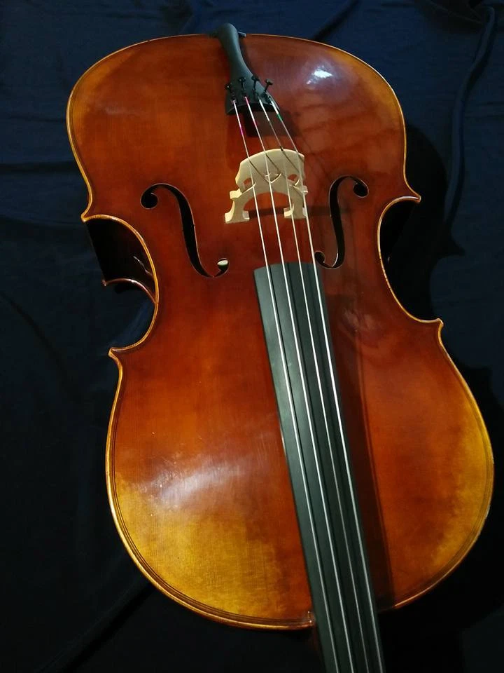 Cannzona C170E Cello - Image 4 of 4