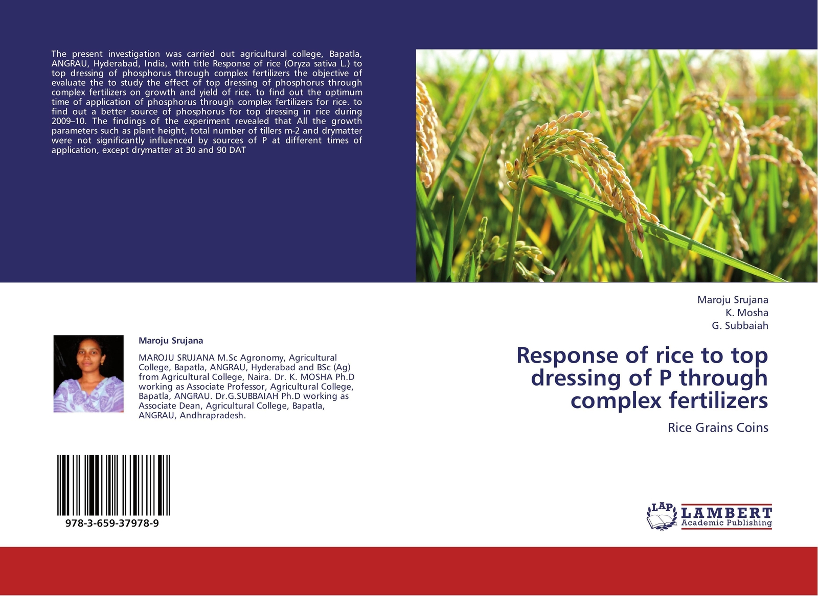 Thumbnail - Response Of Rice To Top Dressing Of P Through Complex Fertilizers