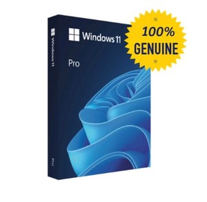 Windows 11 Pro 1pc  key