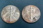 2 Qty  2002 American Silver Eagle 1 Oz. FINE SILVER ~ ONE DOLLAR Coins w/ Toning