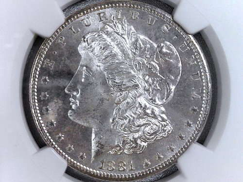 1881-S Morgan Dollar (*Certified MS64 PL by NGC*) - PROOF-LIKE - Picture 3 of 4