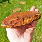 Foto 3 di 3