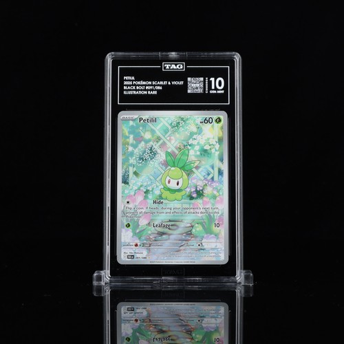 Petilil graded TAG 10 for sale on eBay