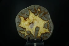 Septarian Nodule with Barite Crystal / Mount Carmel Junction, Utah / Large Polis