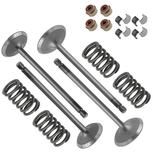 Intake & Exhaust Valve Kit For Arctic Cat 700 H1 08-17 Prowler XT 700 09 15-2017 - Picture 7 of 7