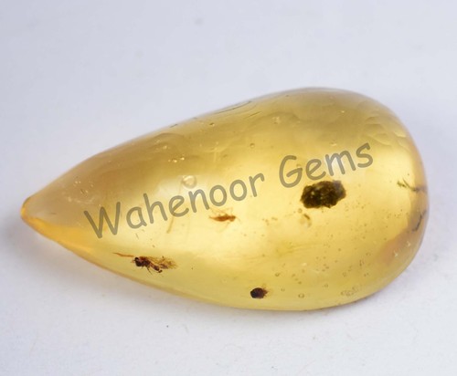 Piedra preciosa suelta certificada con inclusión de insectos ámbar amarillo 100 % natural de 12,55 quilates - Imagen 6 de 6