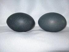 Emu egg shells , empty, cured, collection or crafts  Beautiful Emerald green 