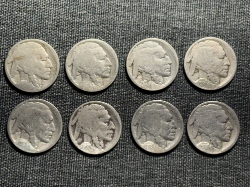8 Early Buffalo Nickels - Teens 1913 to 1919 - Good Dates Carefully Restored