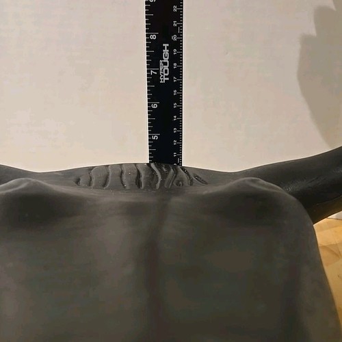 Mustang Steer Head Plastic Roping Dummy with Rods Pre-owned Excellent Condition  - Picture 4 of 8