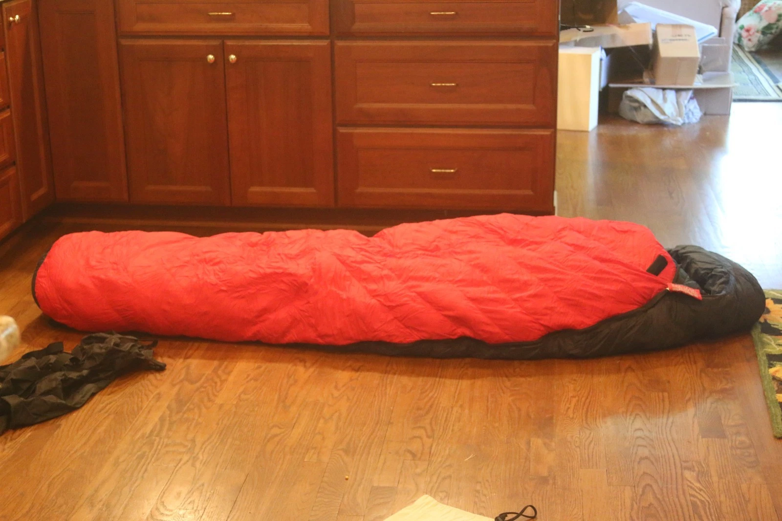 -20 LL Bean Goose Down Mummy Sleeping Bag w storage, compression bags LONG