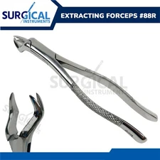 Extracting Forceps Dental Surgical Instruments 88R Stainless Steel German Grade