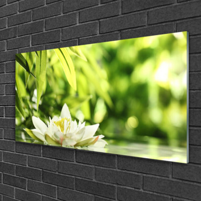 Tableau Impression Sur Verre Tulup 100x50 Cm – Thème Floral Feuilles Vanille, Moderne, Neuf