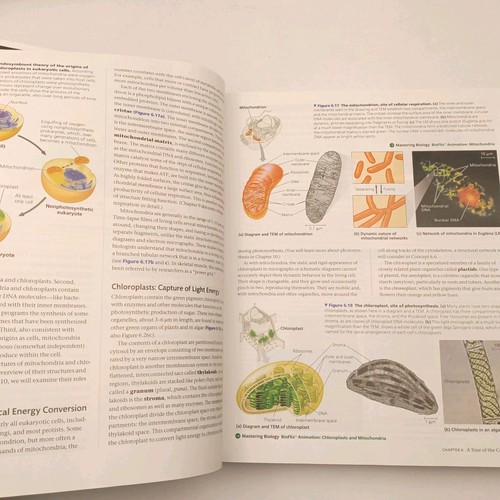 Campbell Biology 12. Auflage Hardcover ISBN 9780135188743 - Bild 9 von 12