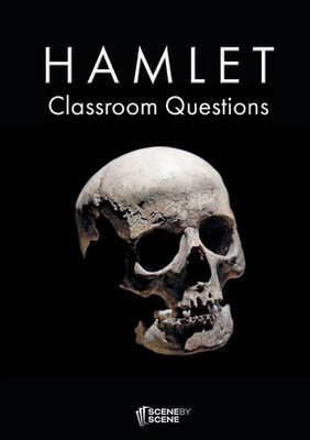 Hamlet Classroom Questions Amy Farrell Taschenbuch Kartoniert / Broschiert 2015
