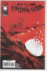 Amazing Spider-Man #620 Marvel Comics (2010) Marcos Martin Cover Peter Parker