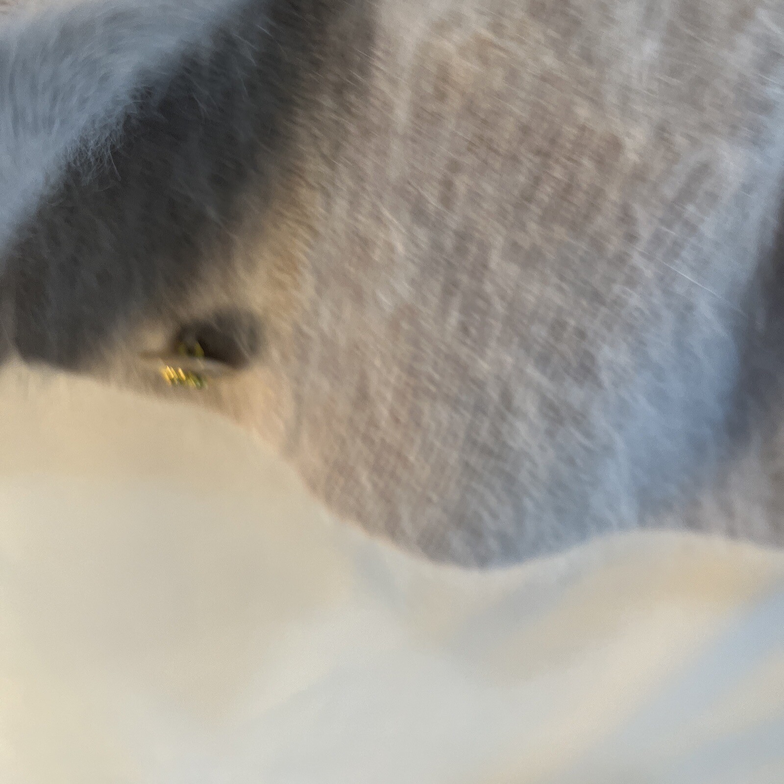 Picture 6 of 10