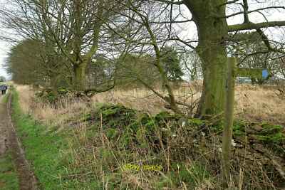Foto 6x4 Hochsteinbruch Plantage kalt Kirby ein kleines rechteckiges Holz Cont c2015