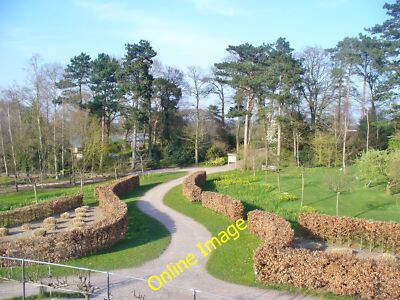 Foto 6x4 Wisley Gartenblick auf gewundenen Weg und Hecken von der Frucht c2014