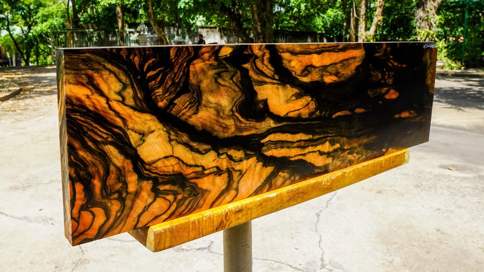 Mabolo Velvet Apple BURL LUMBER Ebony Black Wood Resin Table Top Natural Slab!! - Image 3 of 4