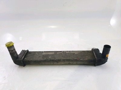 Austauscher Air-Air / Ladeluftkühler - Land Rover Freelander I PH.4 - PNG000021