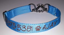 PERSONALIZED Embroidered Chain Martingale Dog Collar Pet ID Tag Name and Phone 
