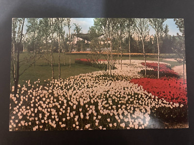 Vintage Le Parc De L'Ile Notre-Dame Postcard