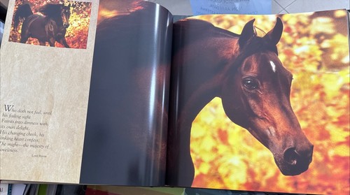 VAVRA'S VISION EQUINE IMAGES, 60-year Retrospective World’s Premier Phot. Horse - Foto 8 di 8