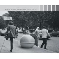 Al Wildey | Public Places, Private Spaces | Taschenbuch | Englisch (2005)