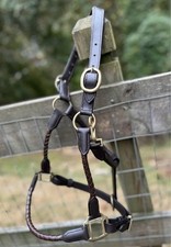 Horse Size Dark Brown Halter Top Grain Leather Brass Buckles