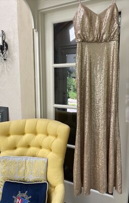 Bari Jay Long Champagne Gold Gown Party Dress Sequin Goddess Size 6/8 | eBay