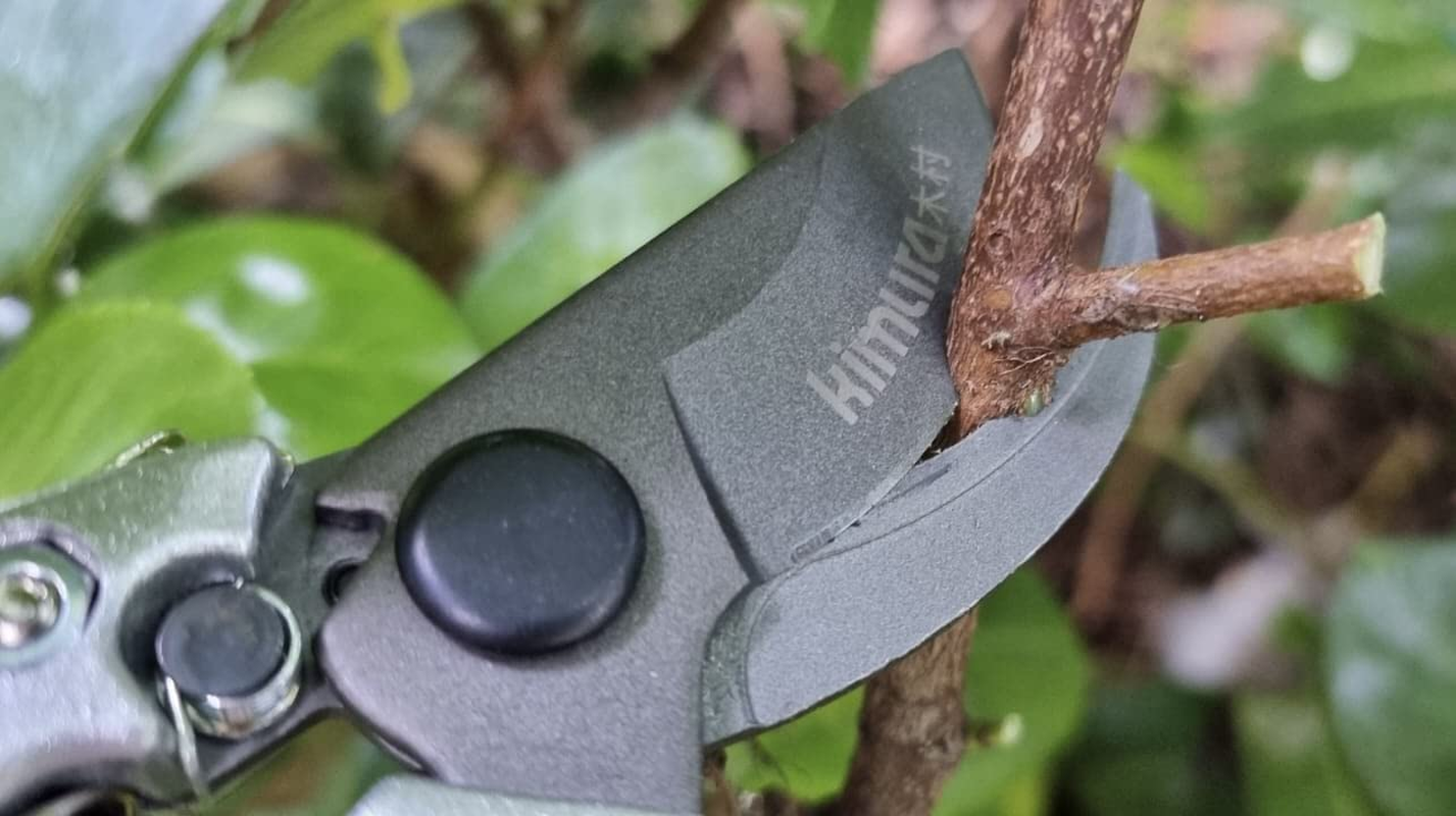 Kimura 8" Pro Bypass Garden Secateurs, Heavy Duty Premium Japanese SK5