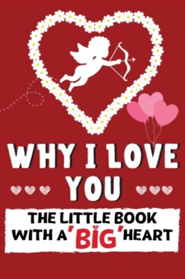 Publishing Group - Why I Love You  The Little Book With A BIG Heart   - X555z