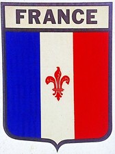 Original Vintage France Flag Iron On Transfer