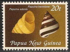 Papua New Guinea #551 (A126) VF MNH - 1981 20t Papuina Adonis / Papuina Hermione