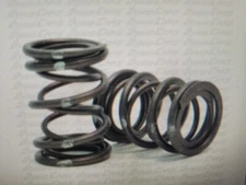 RACING GO KART DYNO WHITE STRIPE VALVE SPRING BRIGGS ANIMAL FLATHEAD 38# LBS SET