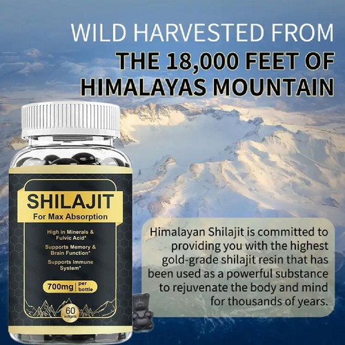 Reines Shilajit 700mg 60 Kapseln Asphaltum natürlich vorkommende Fulvosäure gentechnikfrei - Bild 4 von 7