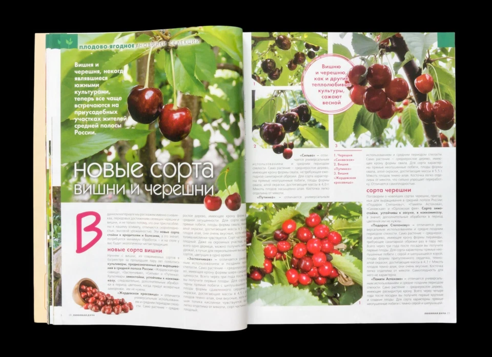 "Country house". 5/2019. Architecture, Design, Landscape, Interior. In Russian. - Image 2 of 4