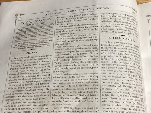 February 1869 Issue Of The American Phrenological Journal And Life Illustrated - 第 6/10 張圖片