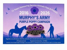 Bulk Purchase- 100 x Murphys Army  Purple Poppy 10th Anniversary-  Pin Badge