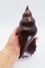 Carved Ironwood Shell Conch Statue Figurine Polished Mexican 8.25" L SBS1 — photo 3