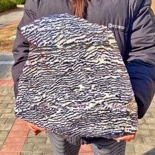 10.62LB  Rare Zebra Pattern Stone | Energy Cleansing | Collector Display Piece