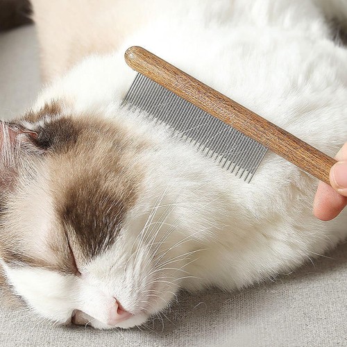 Peine para gato cepillo peine para agujas para gatos, nudos abiertos para eliminar flotantes - Imagen 5 de 8