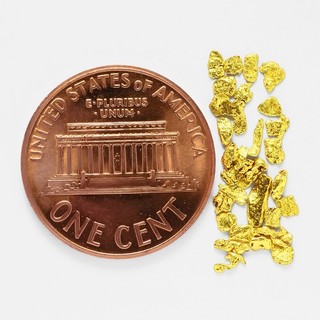 0.6066 Gram Alaska Natural Gold Nuggets (#81307 14) Alaskan Gold Nuggets