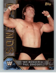 17 Wwe Legends Silver 66 Mr Wonderful Paul Orndorff 35 99 Ebay