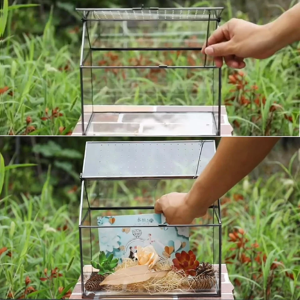 10.3x8.3x5.9 inch Large Geometric Terrarium for Succulents & Small Creatures - Image 3 of 4