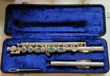   RARE  Emerson Piccolo w/ Case