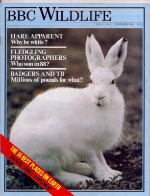 BBC wildlife magazine-NOV 1988-HARE APPARENT.