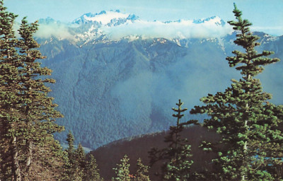 Postcard Mount Olympus the higher peak in Olympic National Park VTG ME5.